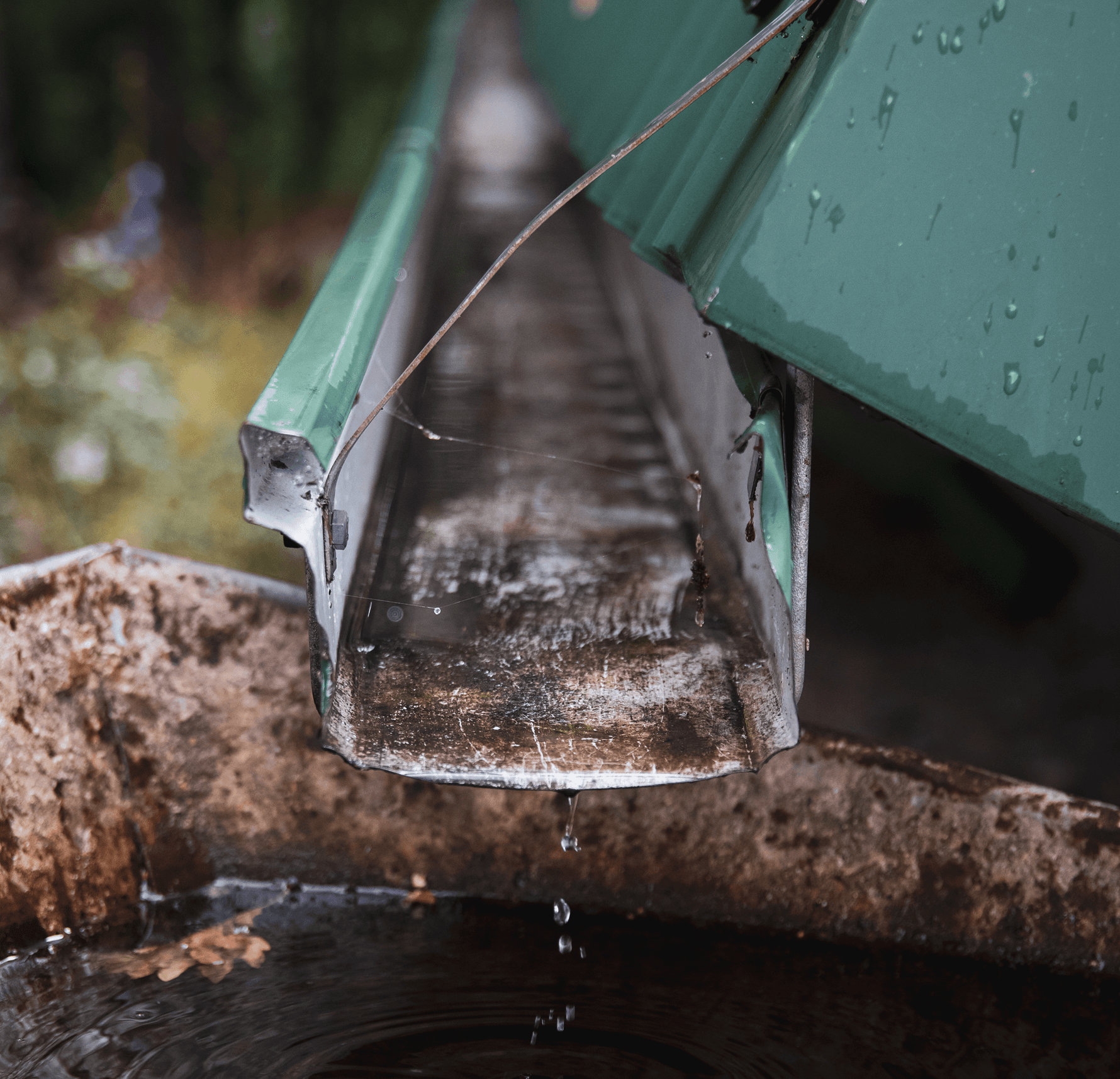 Blog - complete guide to gutter maintenance