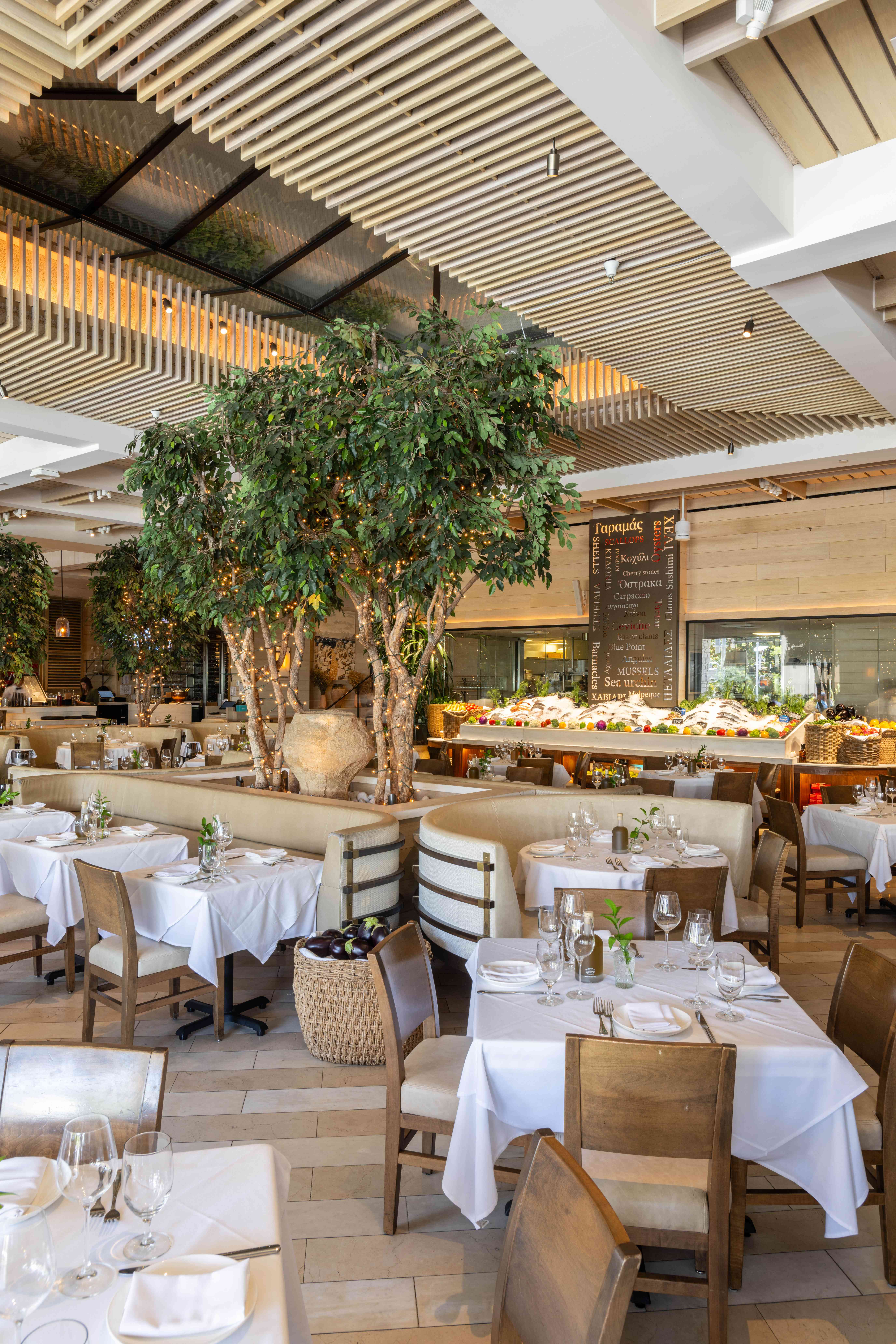 Modern restaurant interior with white tablecloths, wooden accents, and a large green plant in the background.