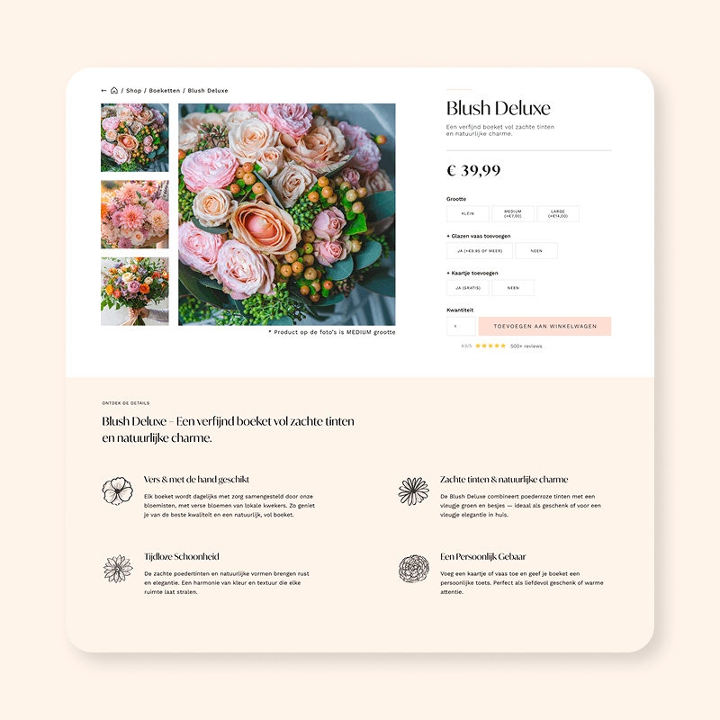 Heph studios portfolio davidshof