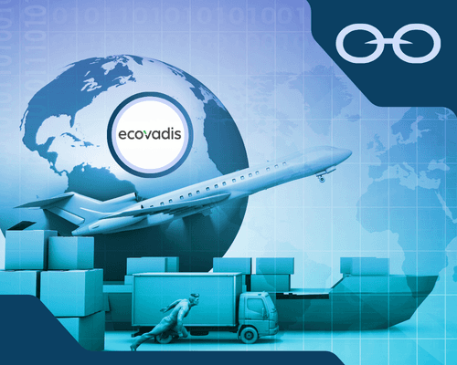 Different components of a supply chain for EcoVadis software