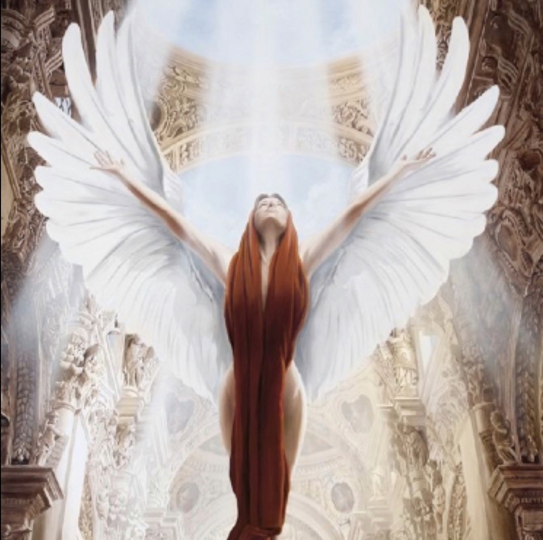 pink flowers on body of water