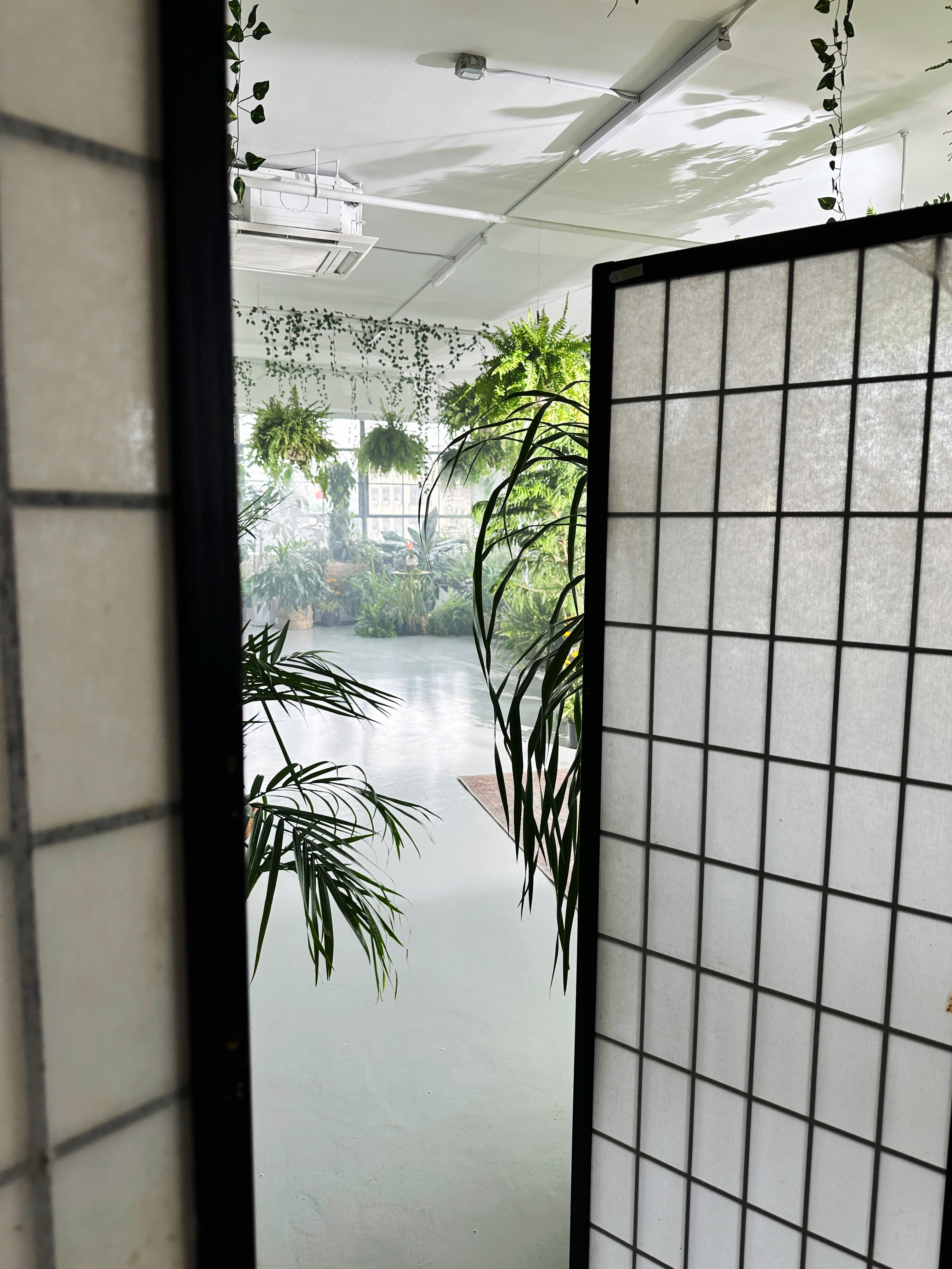 Behind the scenes plant filled studio environment for Bloom