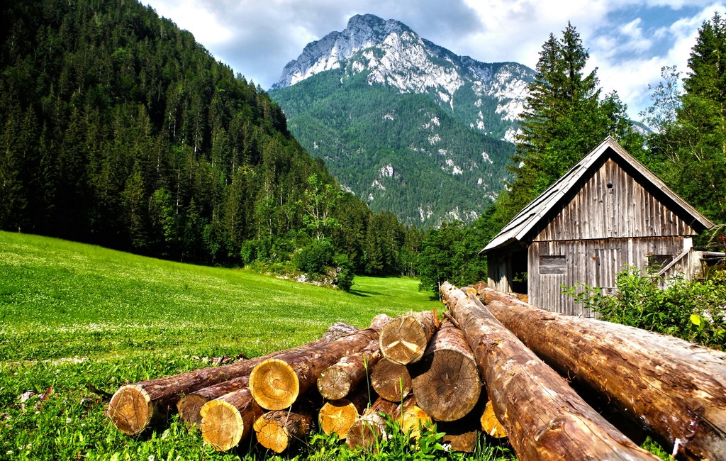 A picturesque mountain landscape featuring a rustic wooden cabin, a stack of freshly cut logs, and a lush green meadow, set against the backdrop of towering pine forests and majestic peaks.