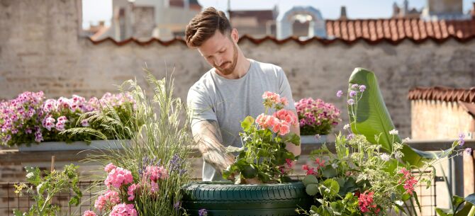 Spruce up your garden for spring