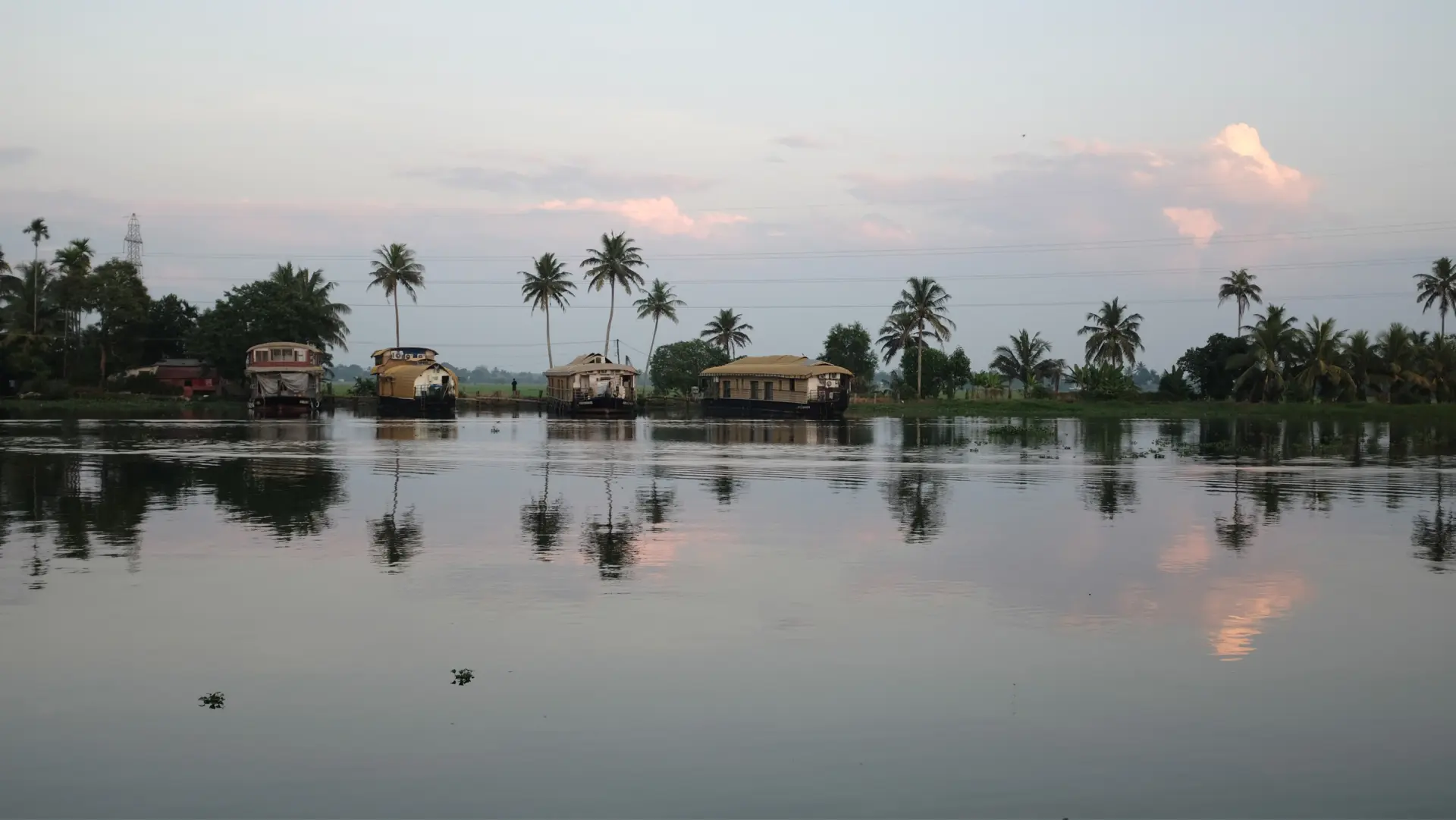 Traditional Kerala kettuvallam houseboats moored on the Alleppey backwaters at dusk, with coconut palms silhouetted against a pastel sunset sky