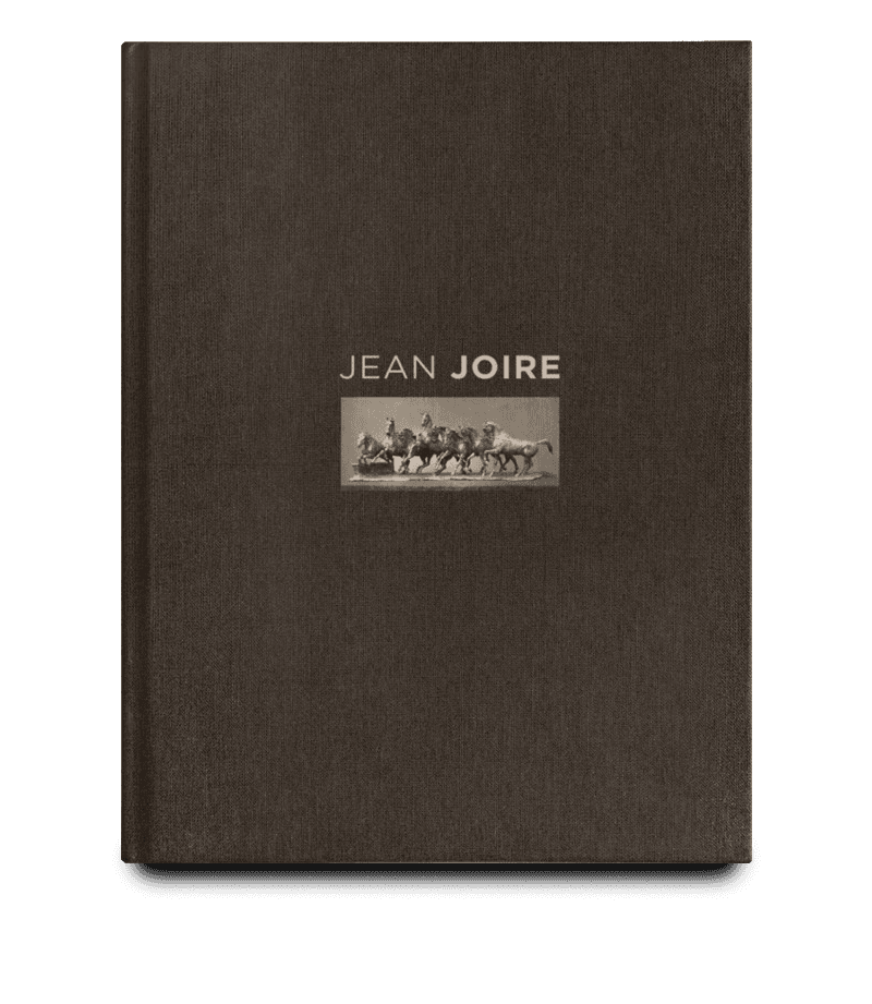 Couverture du catalogue raisonné de Jean Joire