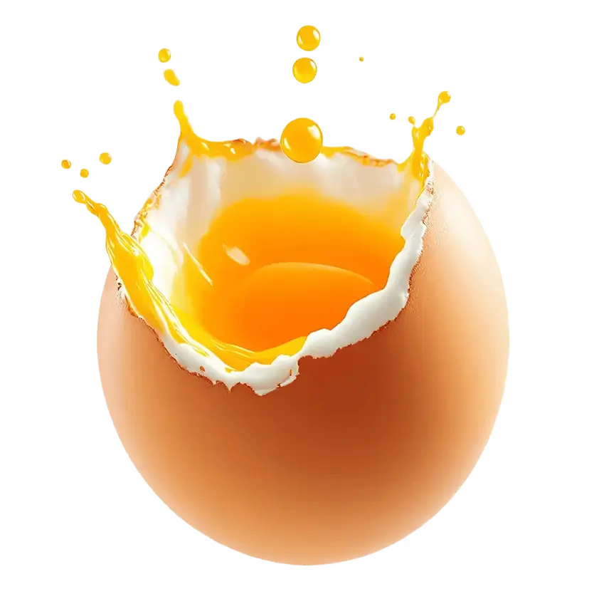 깨진 갈색 달걀과 선명한 주황색 노른자가 위로 튀어 오르며, 신선하고 고품질의 계란 제품을 상징합니다.