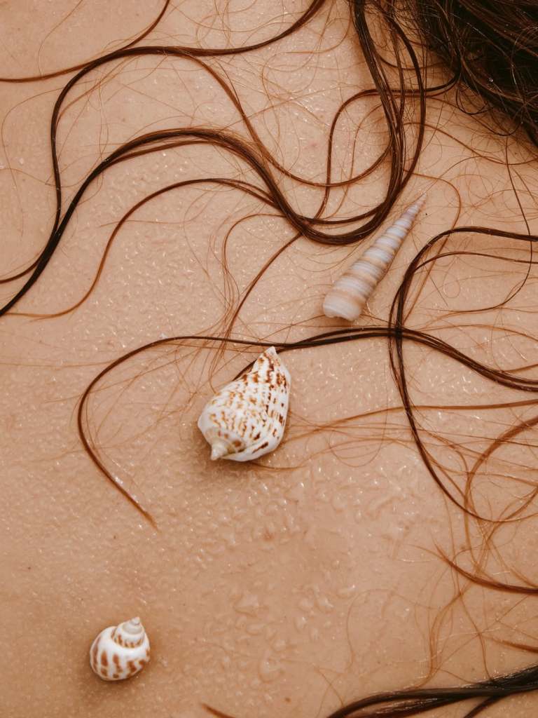 Close-up of a person's back with strands of hair and several seashells resting on damp skin.