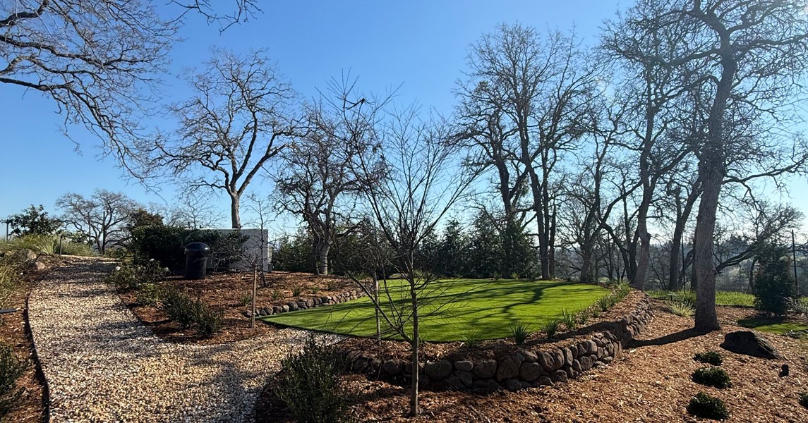 Residential landscaping in Loomis with a hillside artificial turf lawn, stacked-stone borders, gravel path, and oaks.