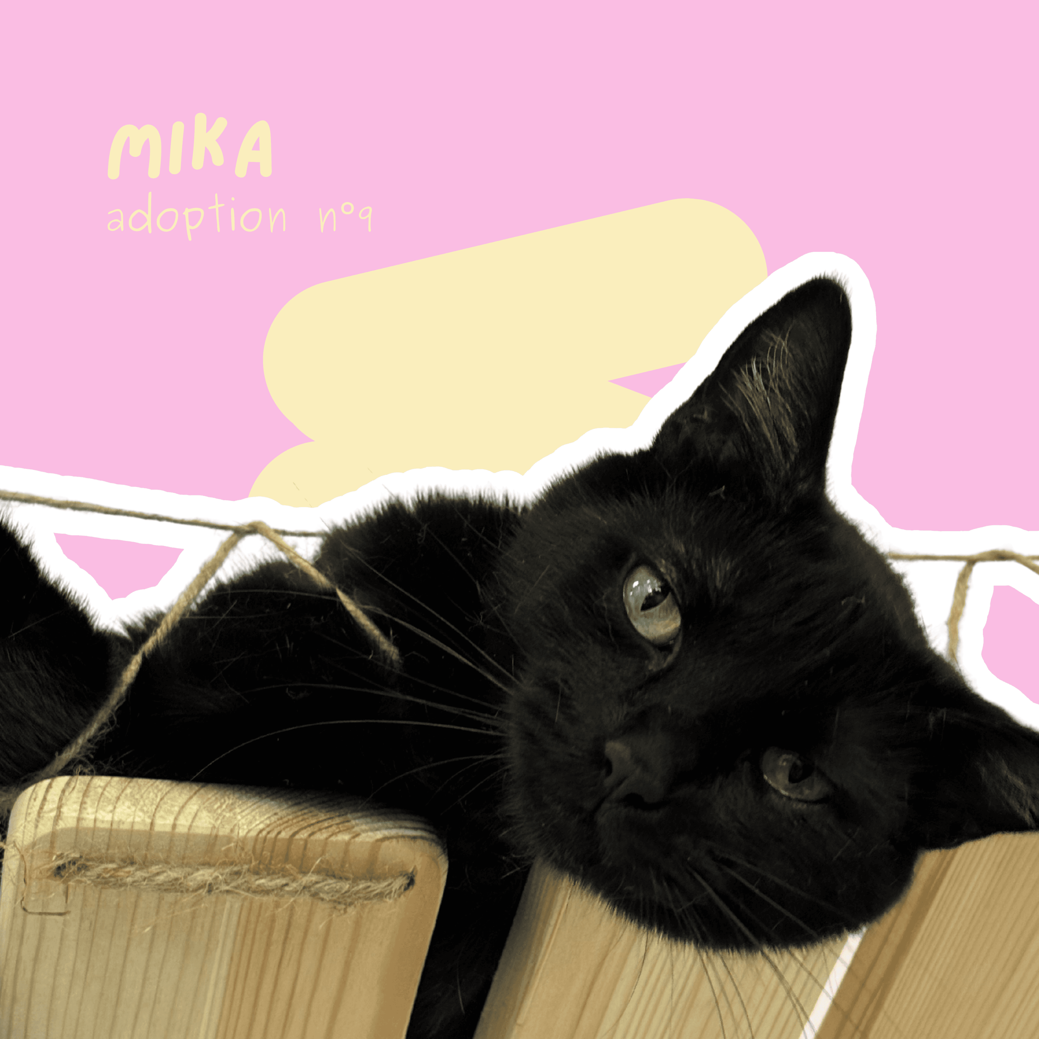 chat-mika