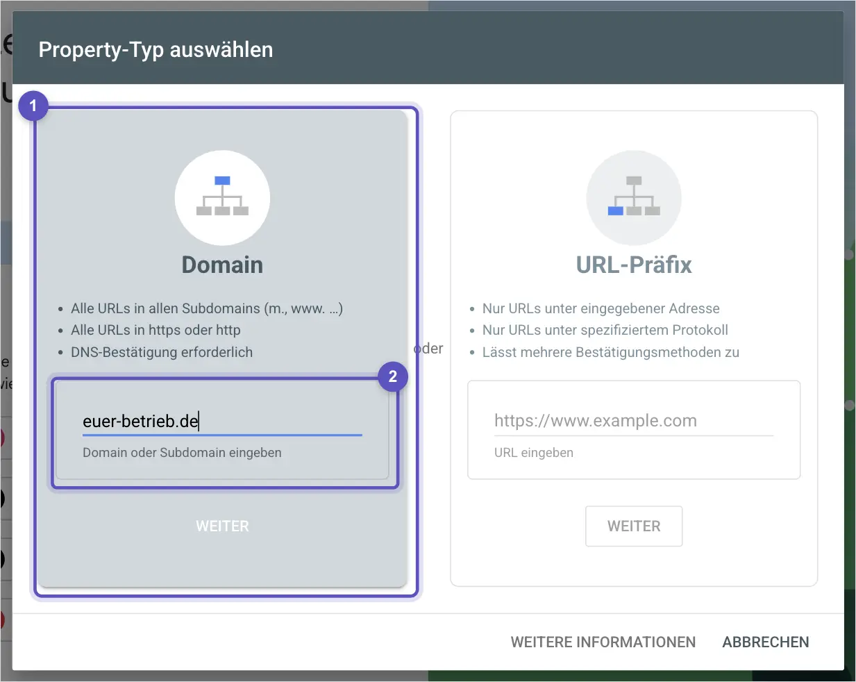 Dialog Property-Typ auswählen in der Search Console, die Domain-Property ist markiert und im Eingabefeld steht euer-betrieb.de.