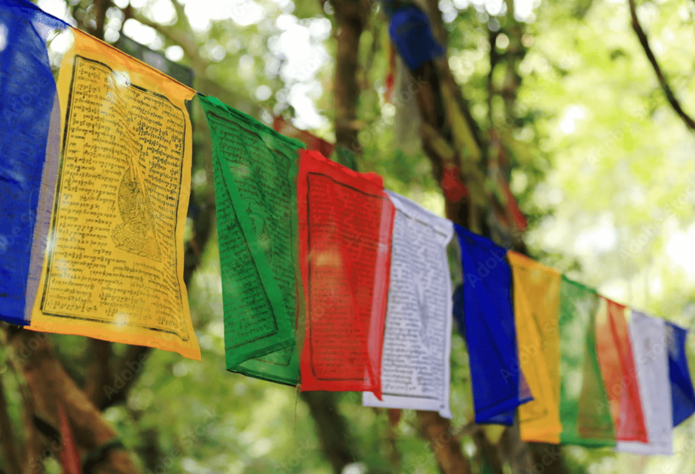 Sample image from a project