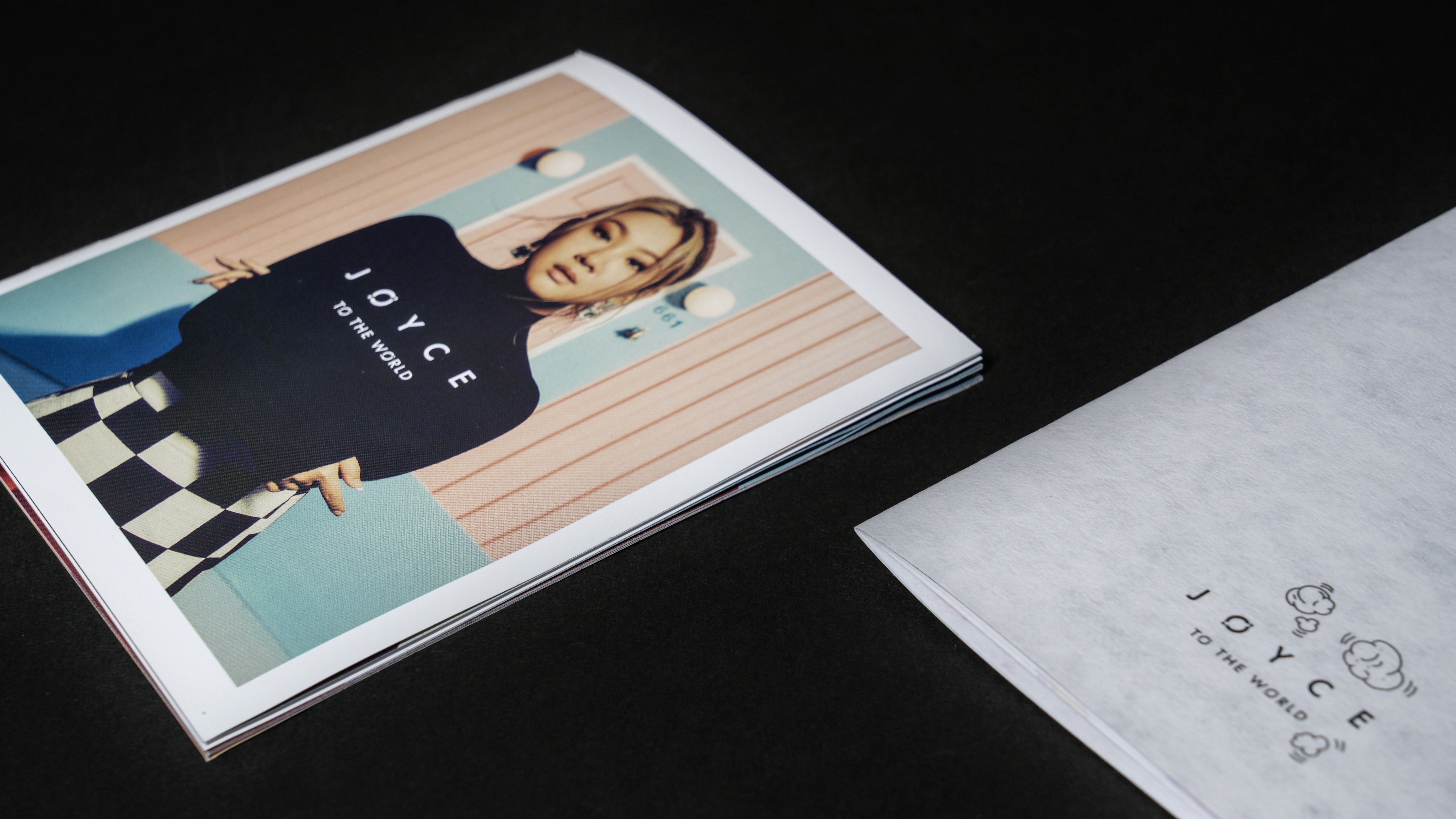 Concert Performance Photo