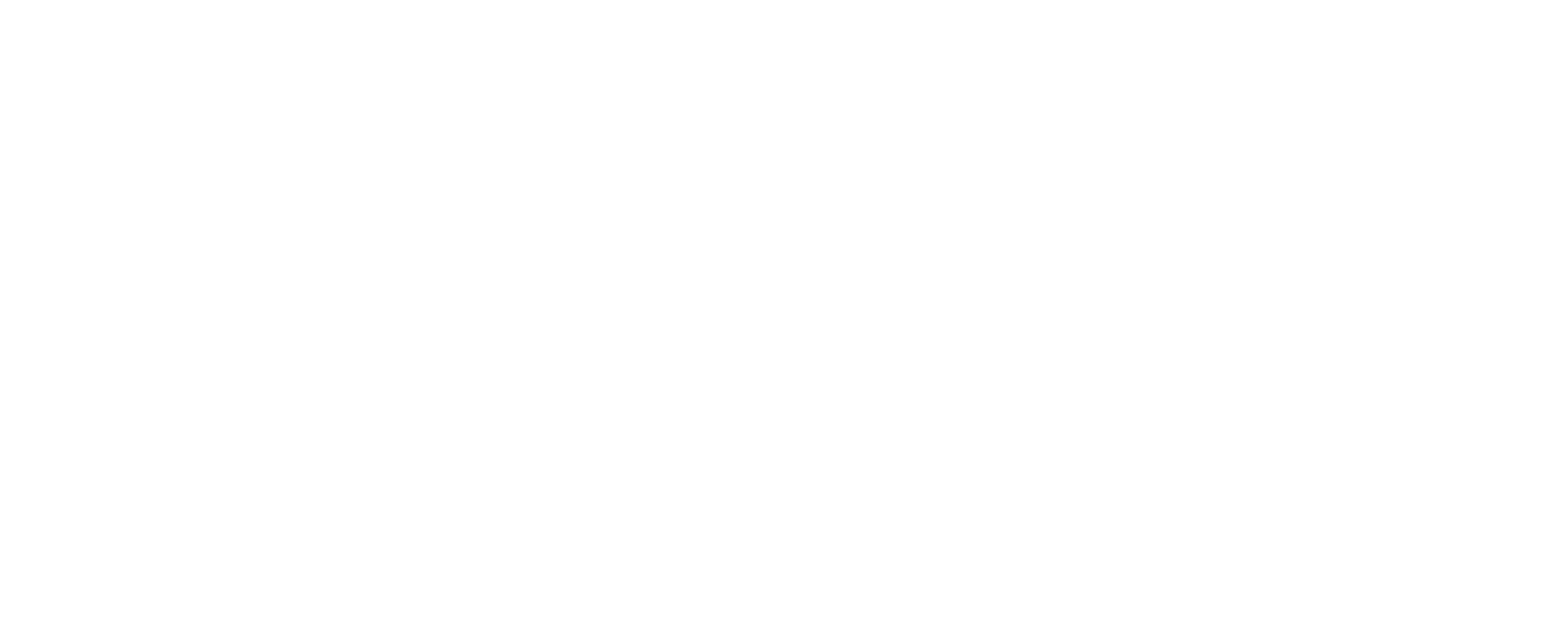 ChromeOS logo