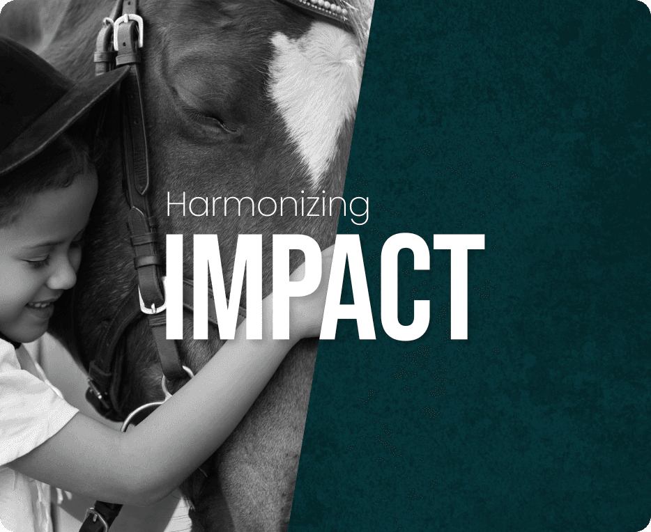 Premium UX Template for Framer