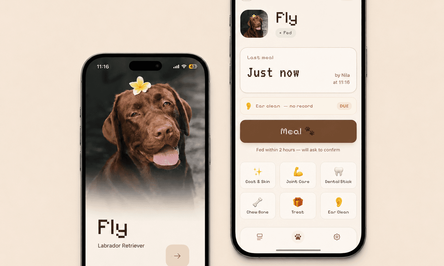 Fly & Foxy