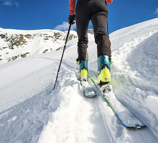 Skis compatibles avec peaux de phoque