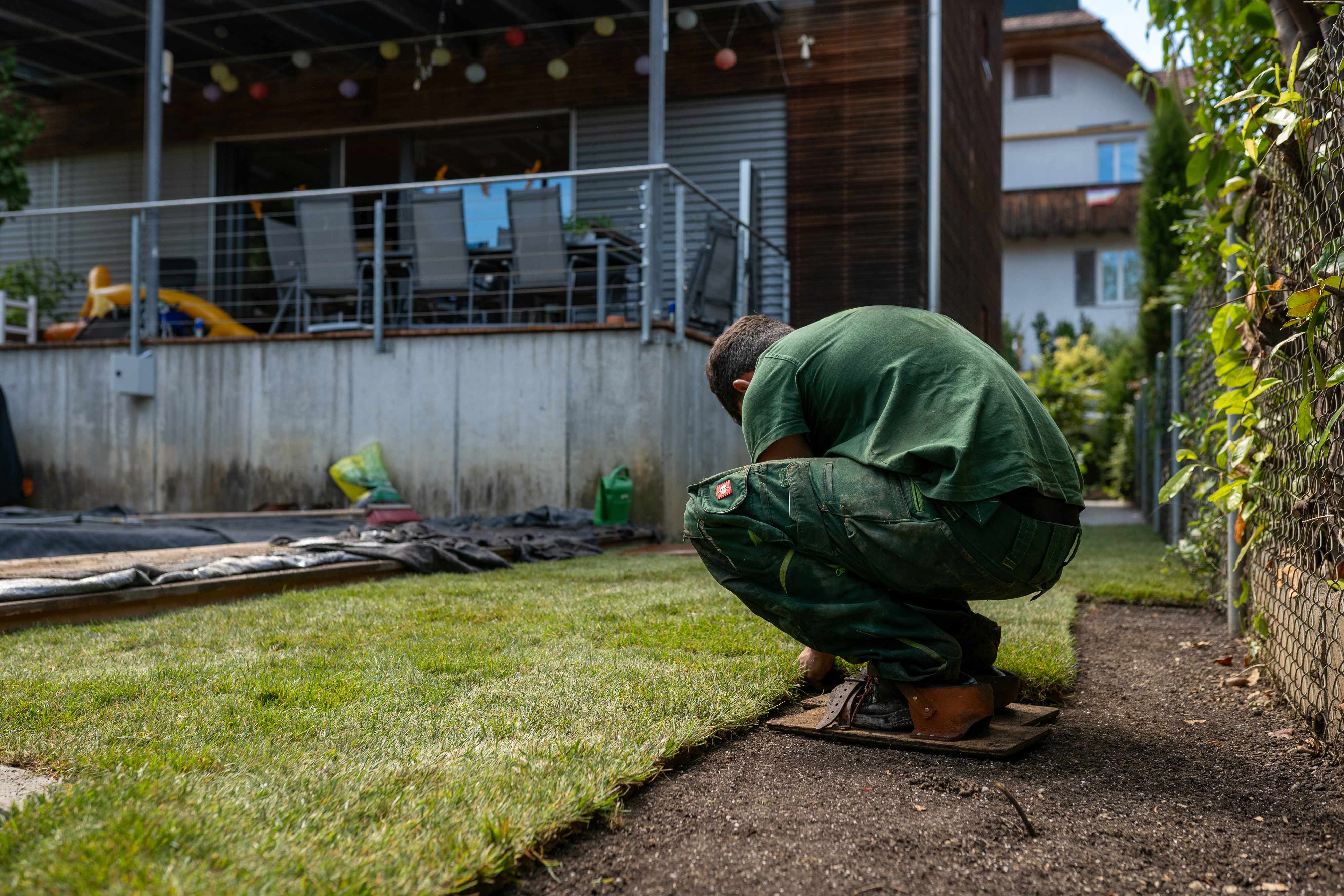 purple petaled flowers