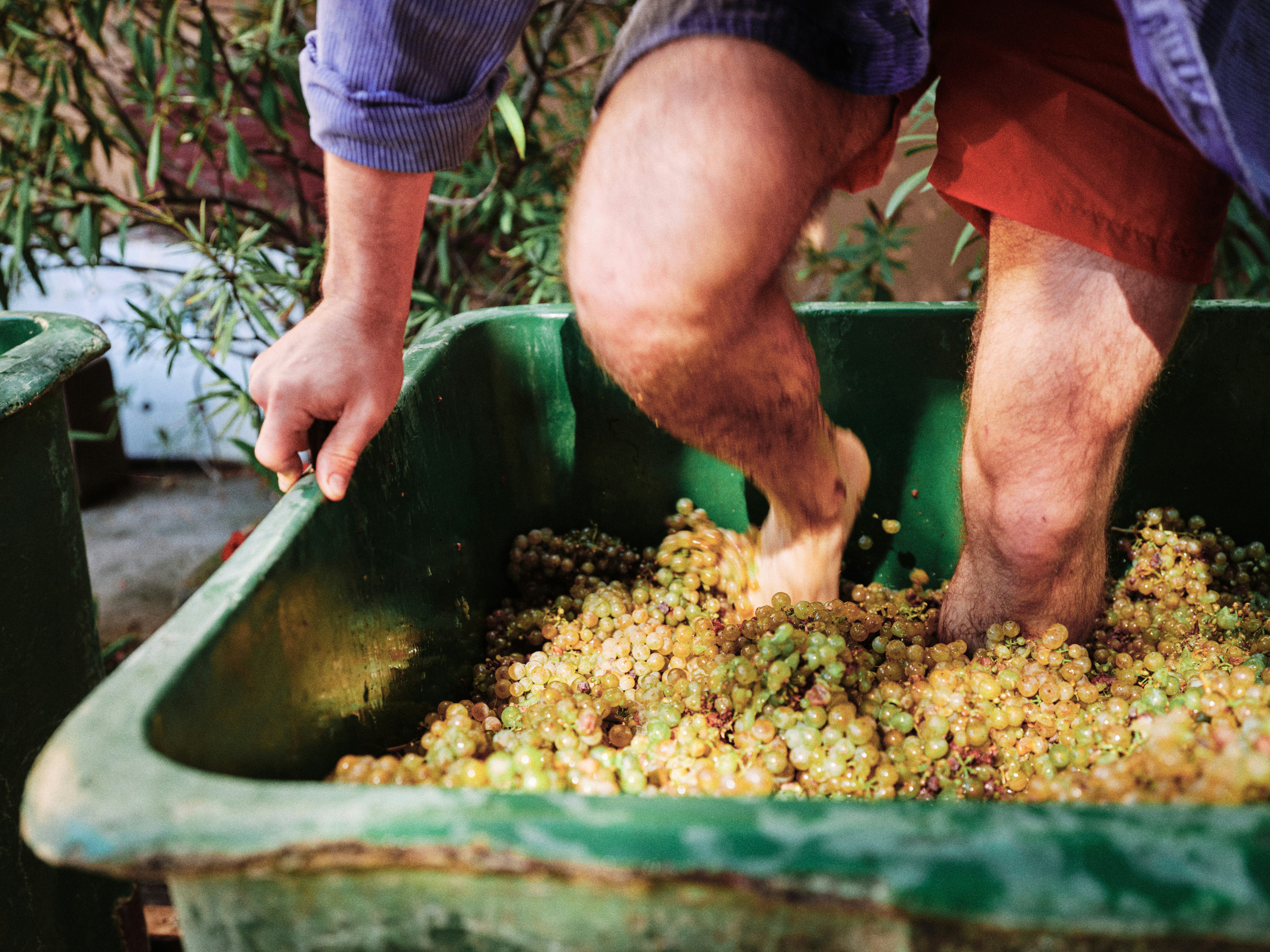 Serene retreat setting designed for connection across generations, part of curated travel experiences in Spain, Morocco, and Portugal.