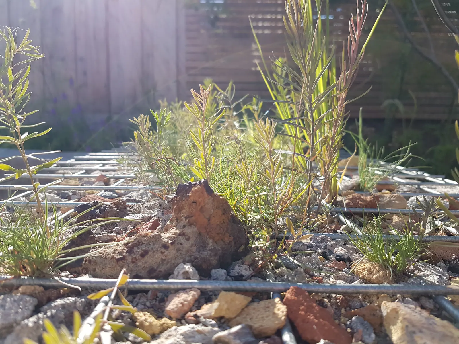 A rocky landscape with green plants in sunlight, creating a natural, serene environment.