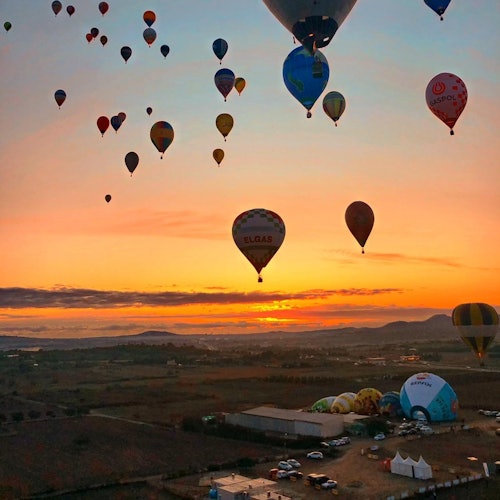 Hot air balloons of various colors and designs floating over a landscape at sunrise, with scattered buildings and fields below.