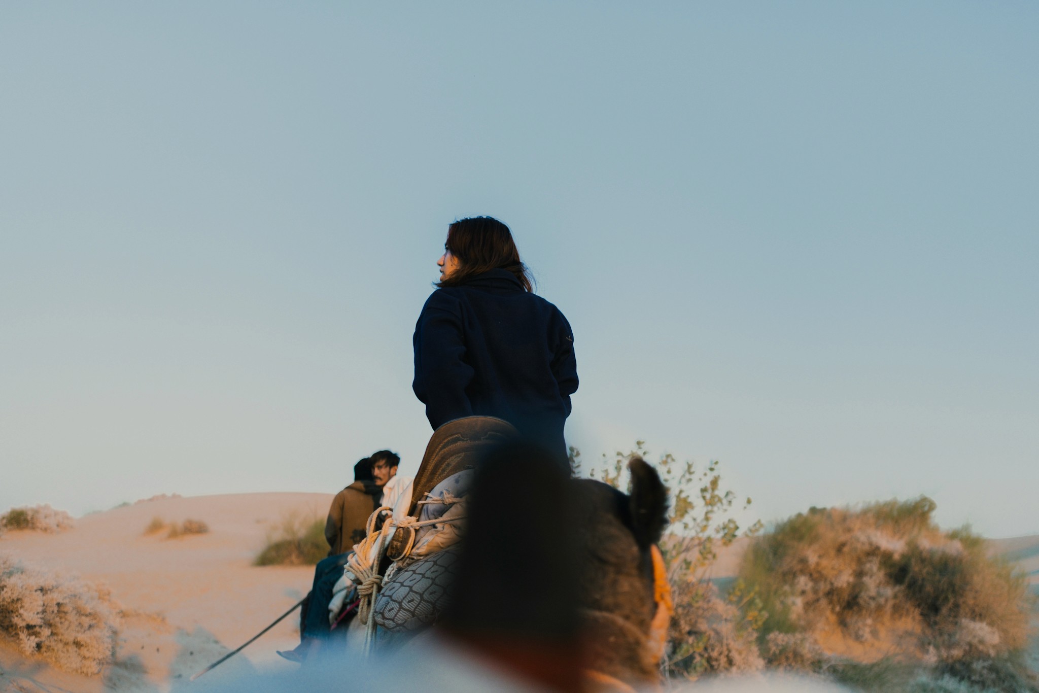 travellers riding on a camel
