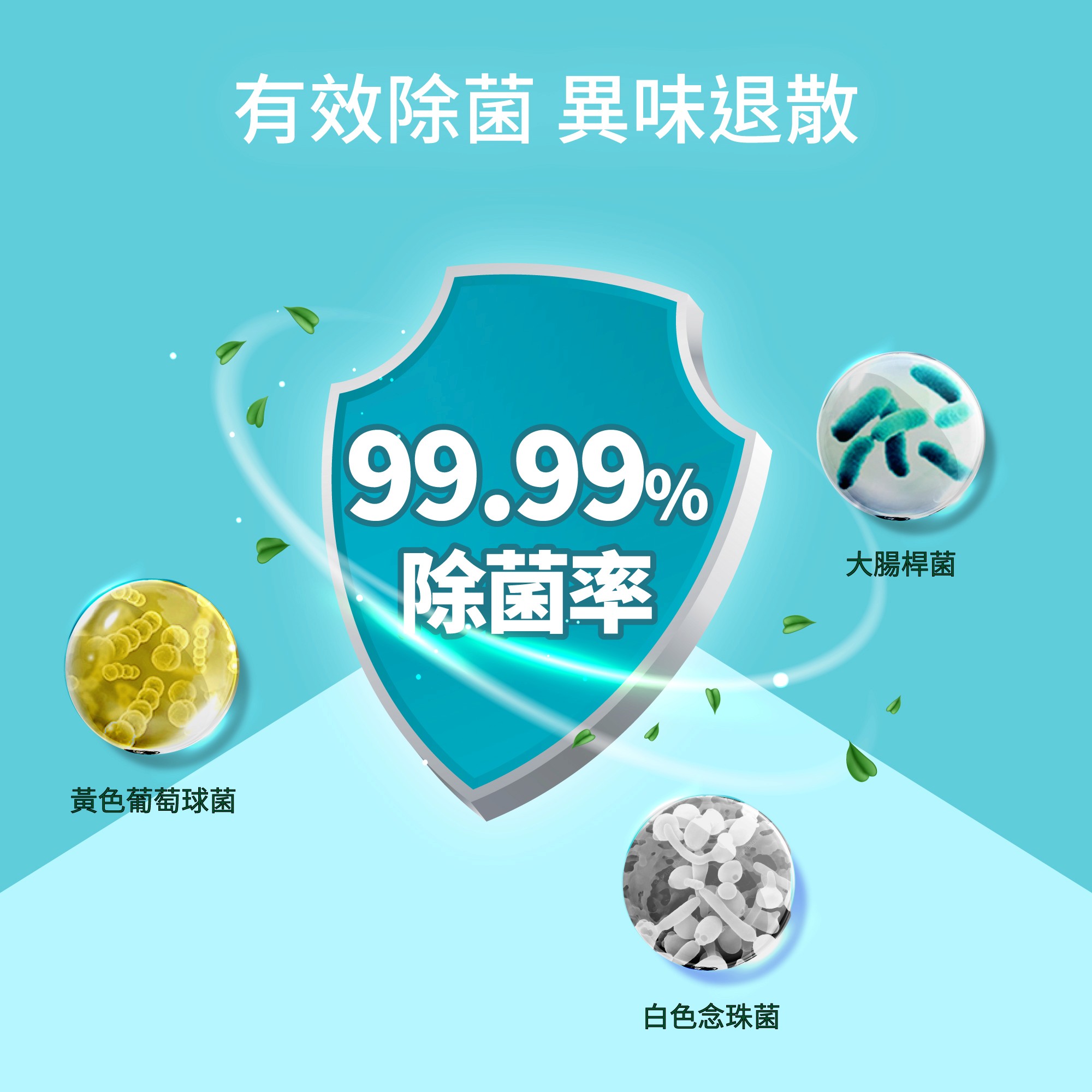 99%高效除菌消除異味