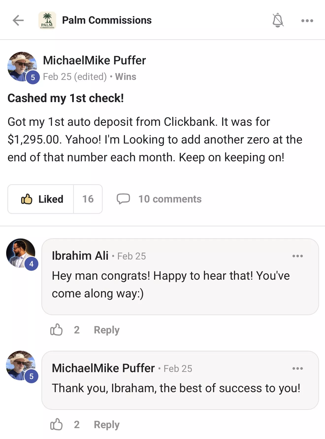 Skool post from Mike Puffer in the Palm Commissions community