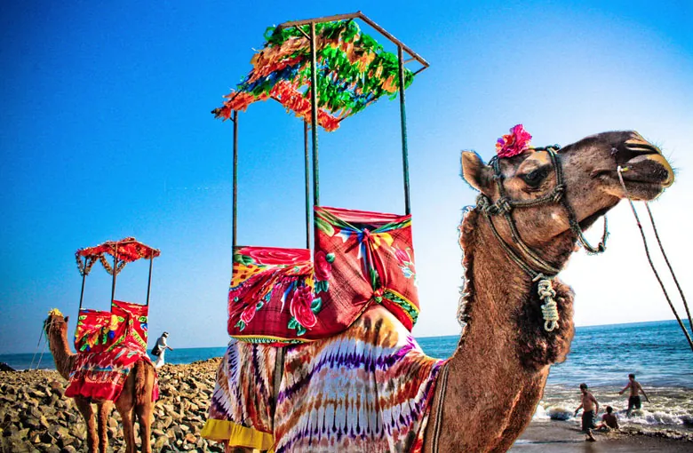 a black and white living room with a large tv