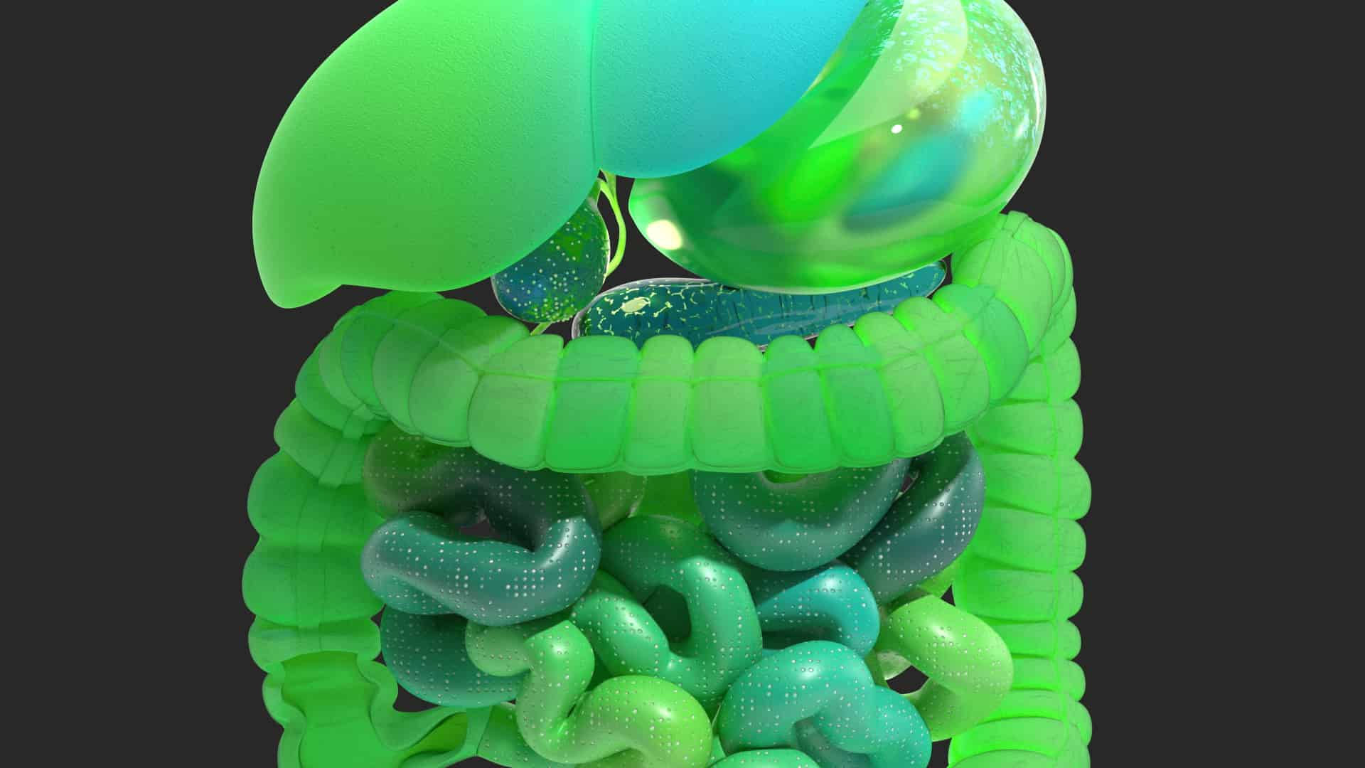 Mainframe medical work: gut organ stylised surgical procedure in a detailed anatomical CGI style for clinical education.