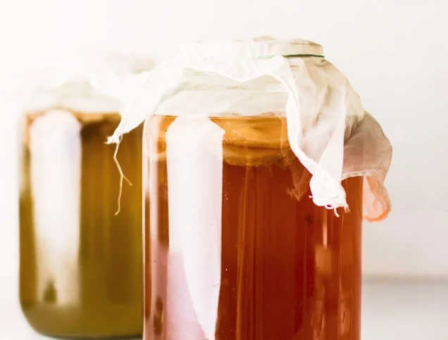 Probiotic food kombucha in glass jars good for microbiome and bacteria