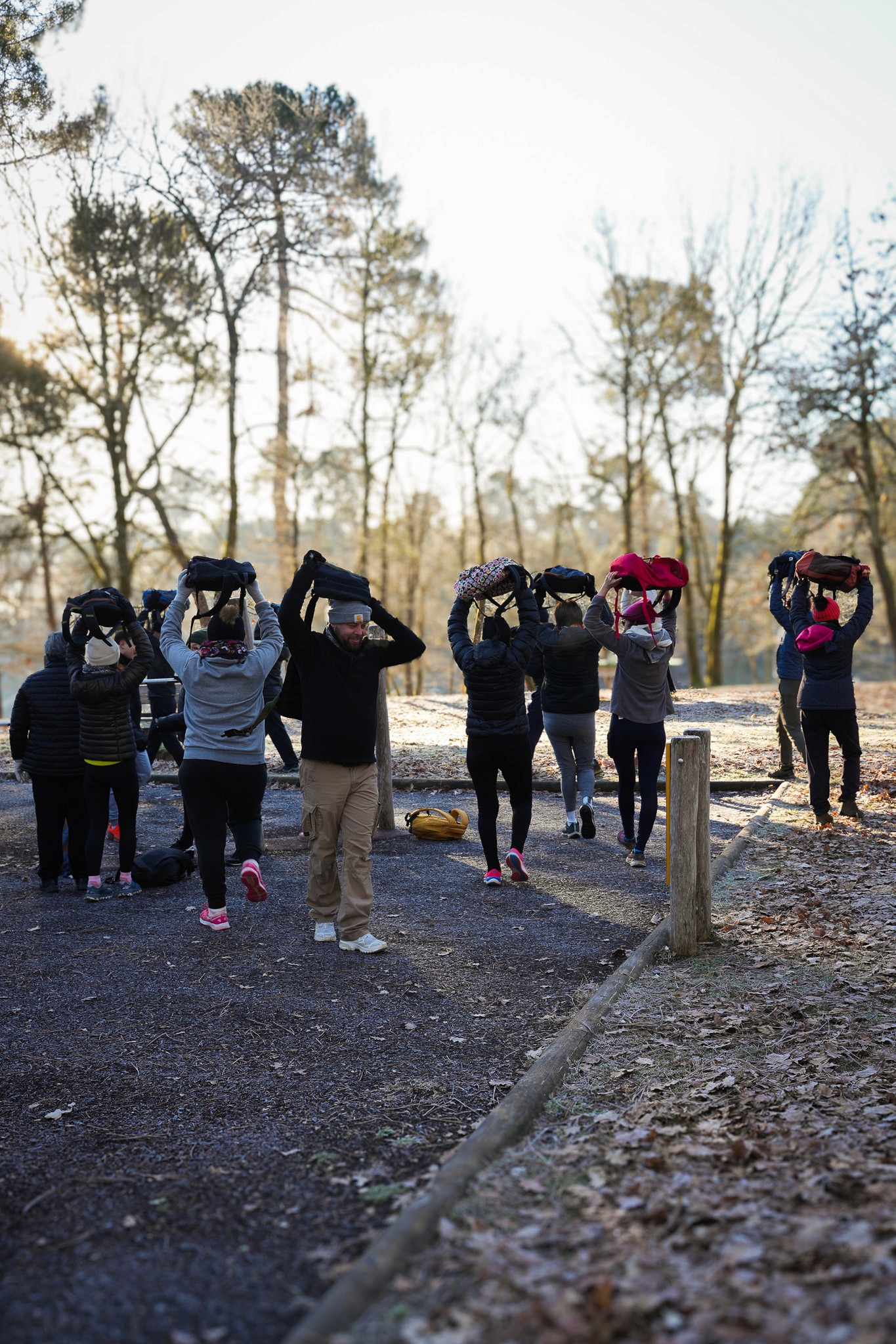 Modern landscaped garden showcasing professional outdoor design.