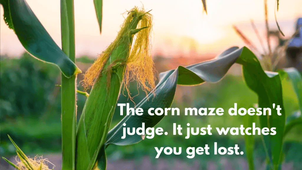  Cornhole Team Names - maized confused corn vocabulary