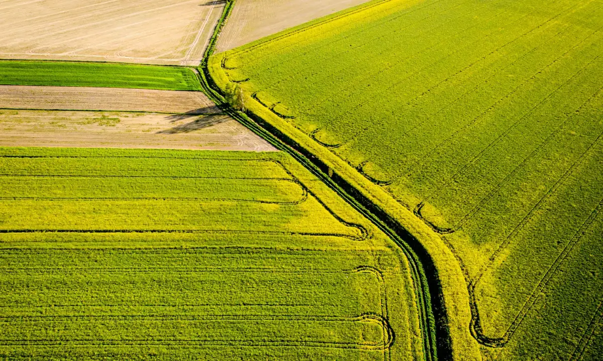 Luftaufnahme von Ackerflächen als Sinnbild für biologische Stickstoffstabilisierung und reduzierte Ammoniakverluste durch CASIBAC.