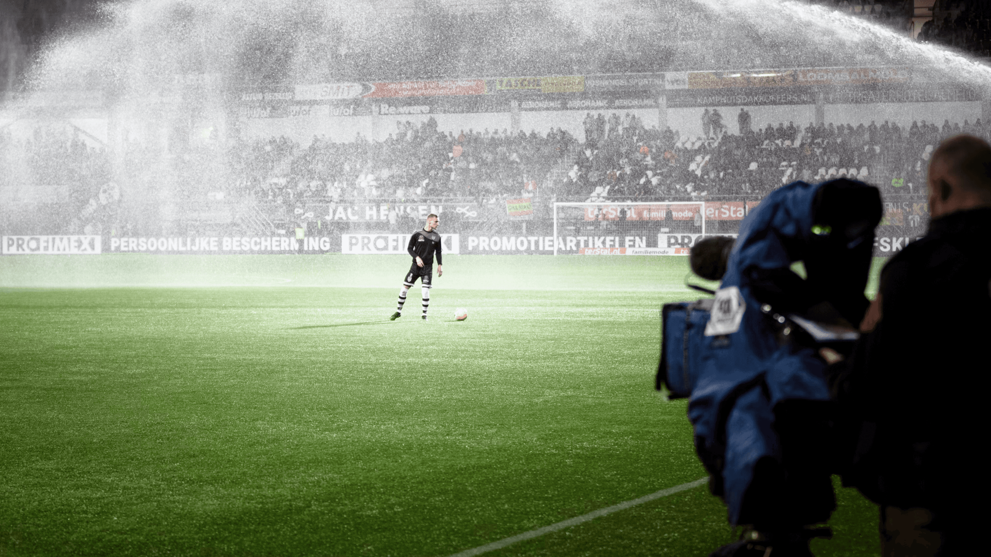 Spicy Mango - Insights - 4K UHD