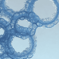 Blood multi-cancer early detection test for preventive screening