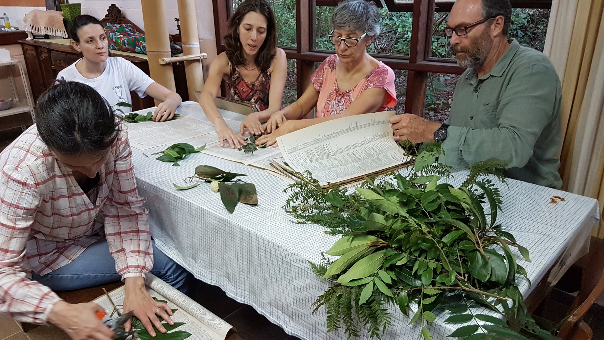Participantes do curso em volta de uma mesa com ramos e folhas preparando exsicatas