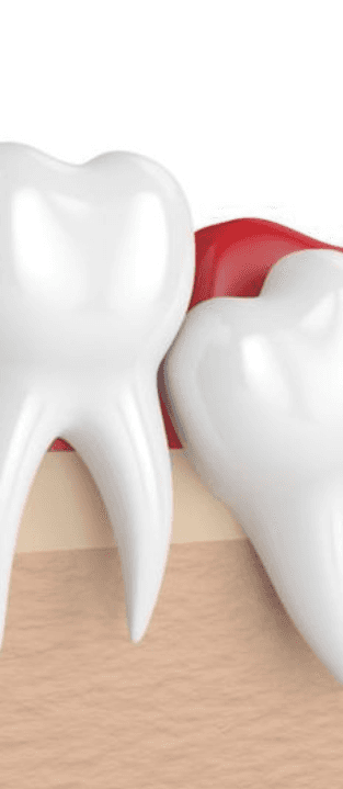 Work-Life Balance Couching