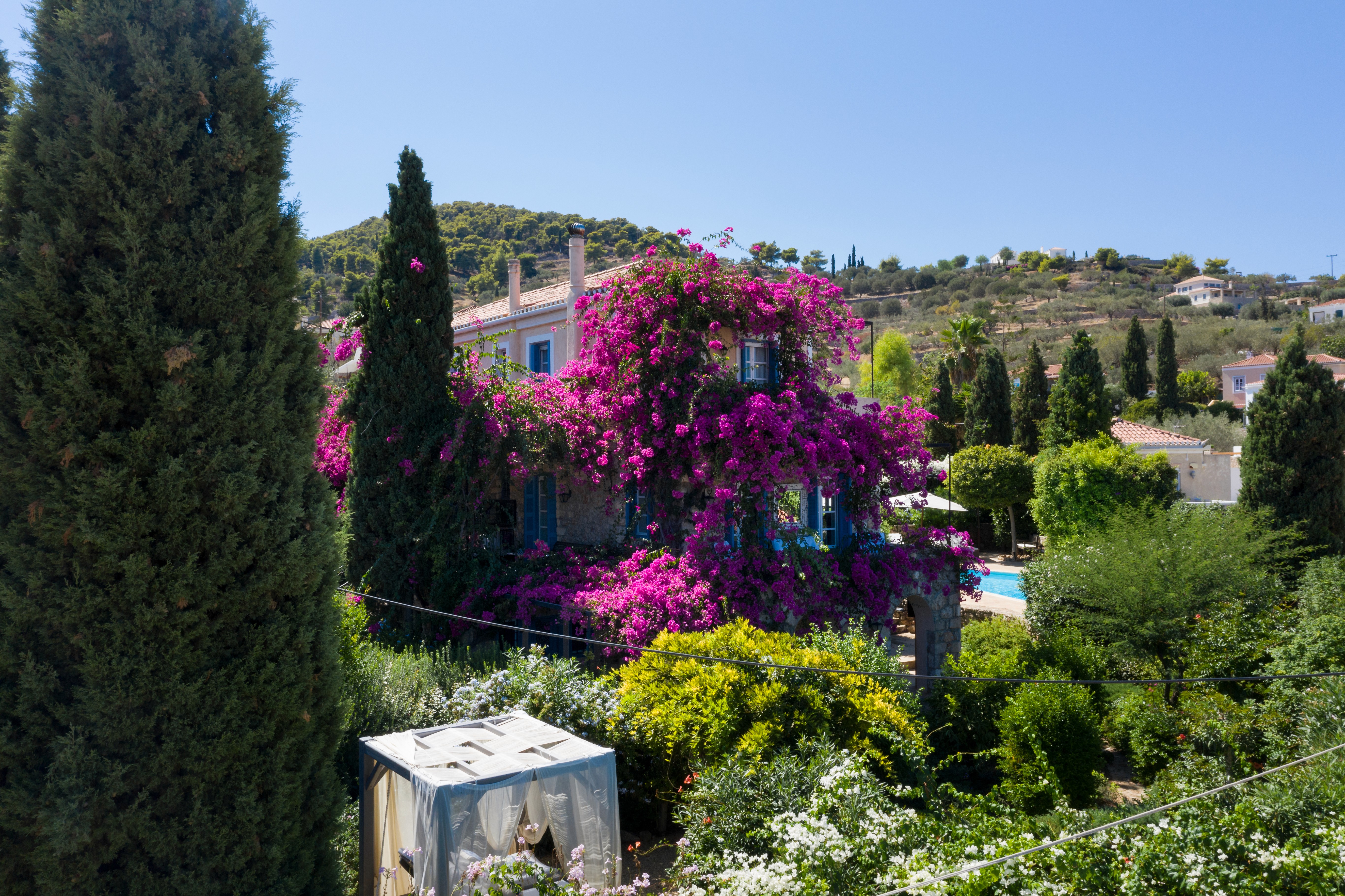 Here comes the alt text