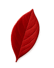 Image of a red leaf