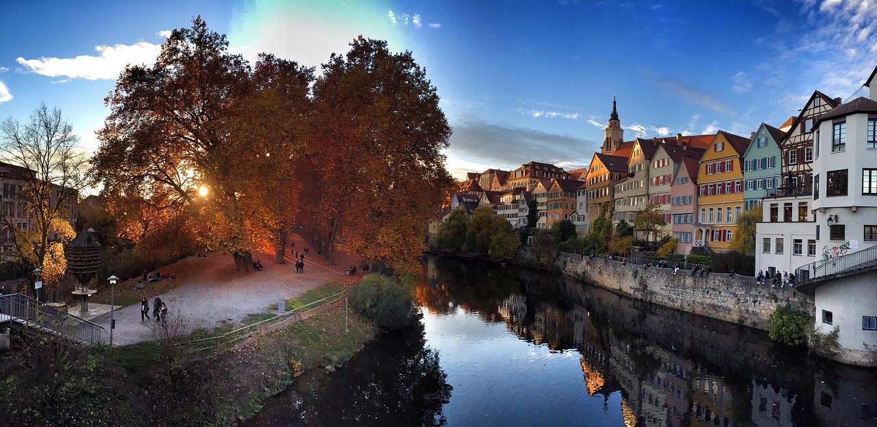 baumpflege tübingen