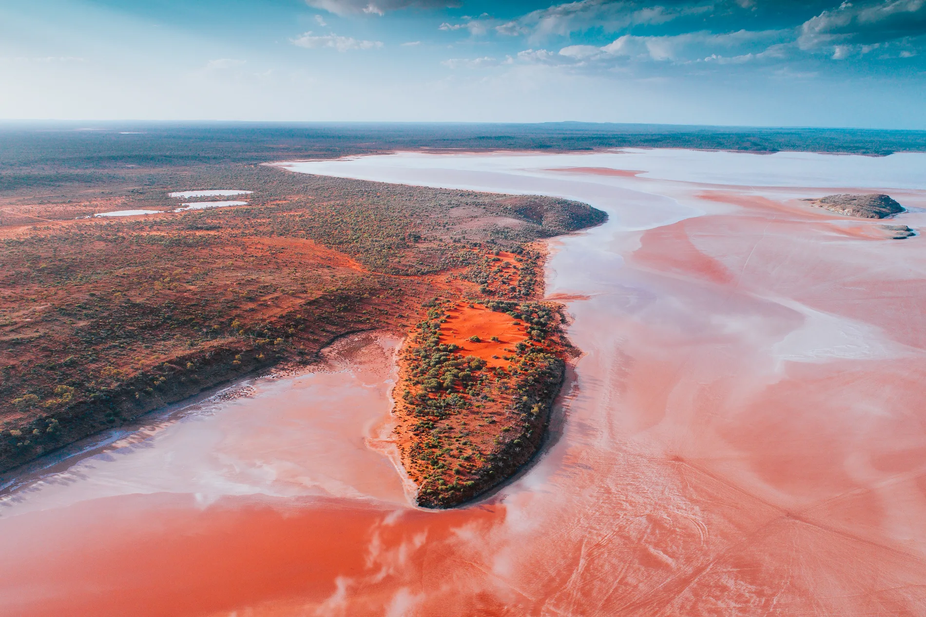 Aerial of a vegetated ridge dividing pale pink salt flats