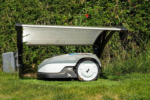 Navigating the Digital Landscape