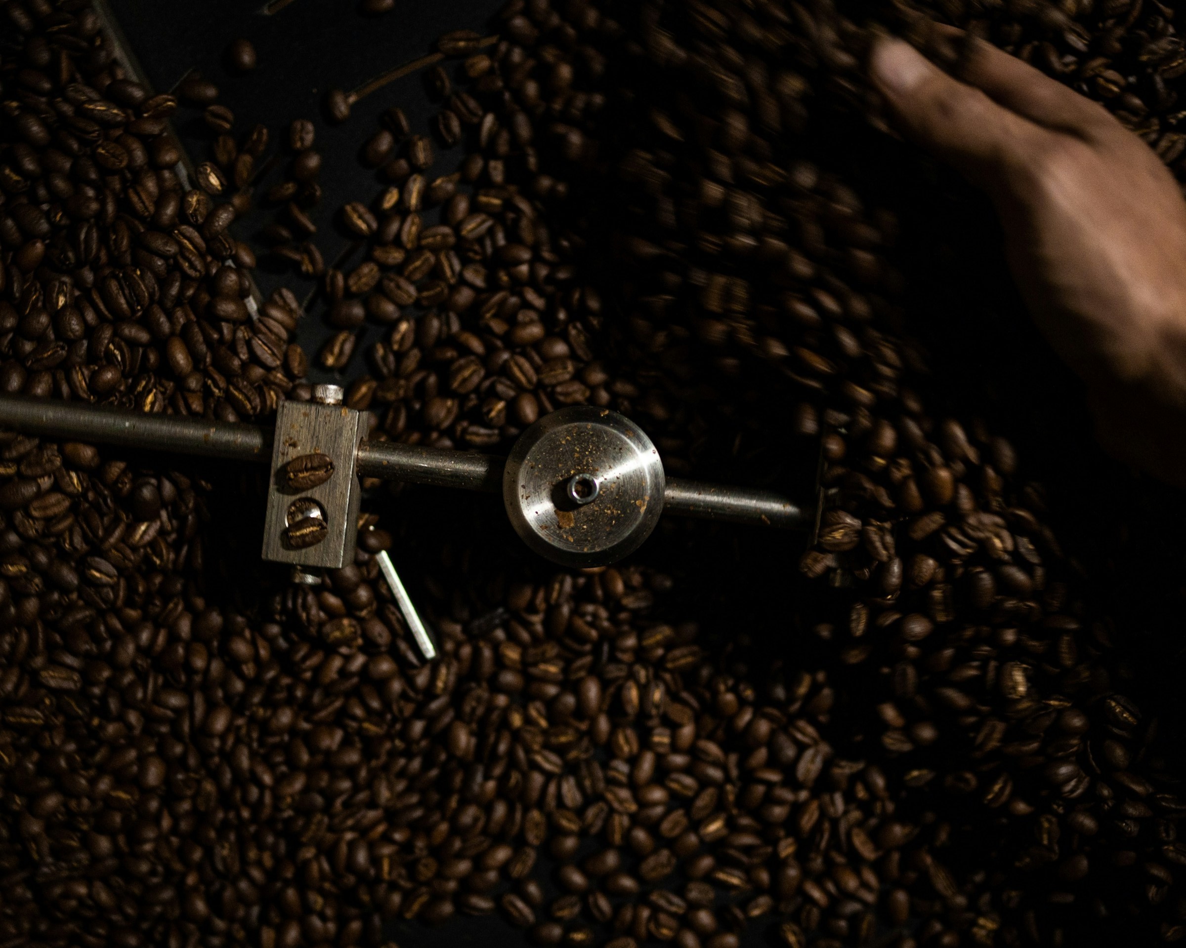 Kaffeebohnen als Einblick in die Kaffeeauswahl von Bears Coffee Bucks