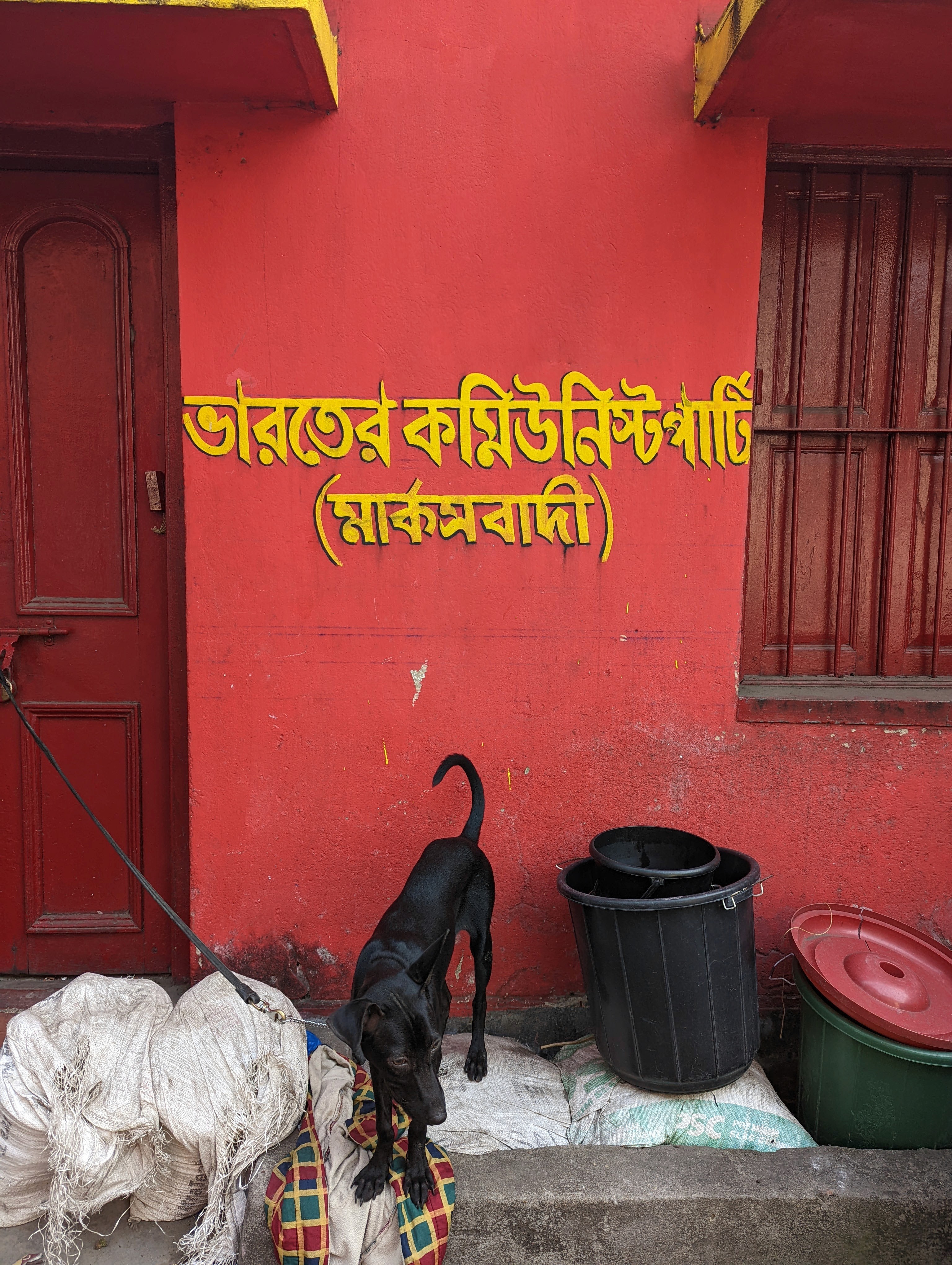 futuristic robot with a grey background