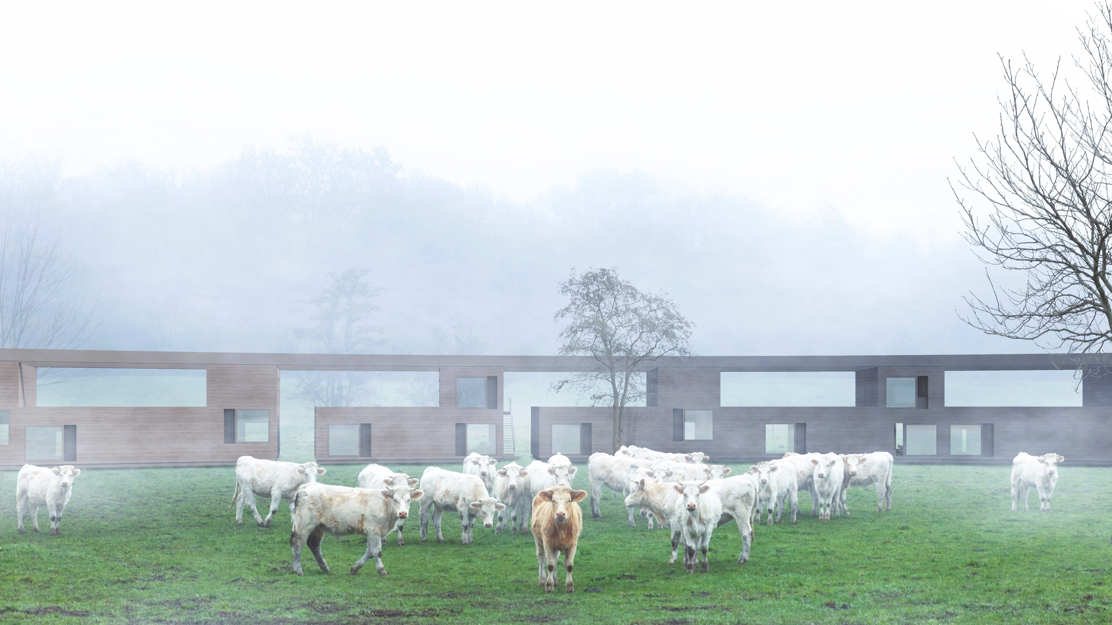 Housing project logements collectifs perspective