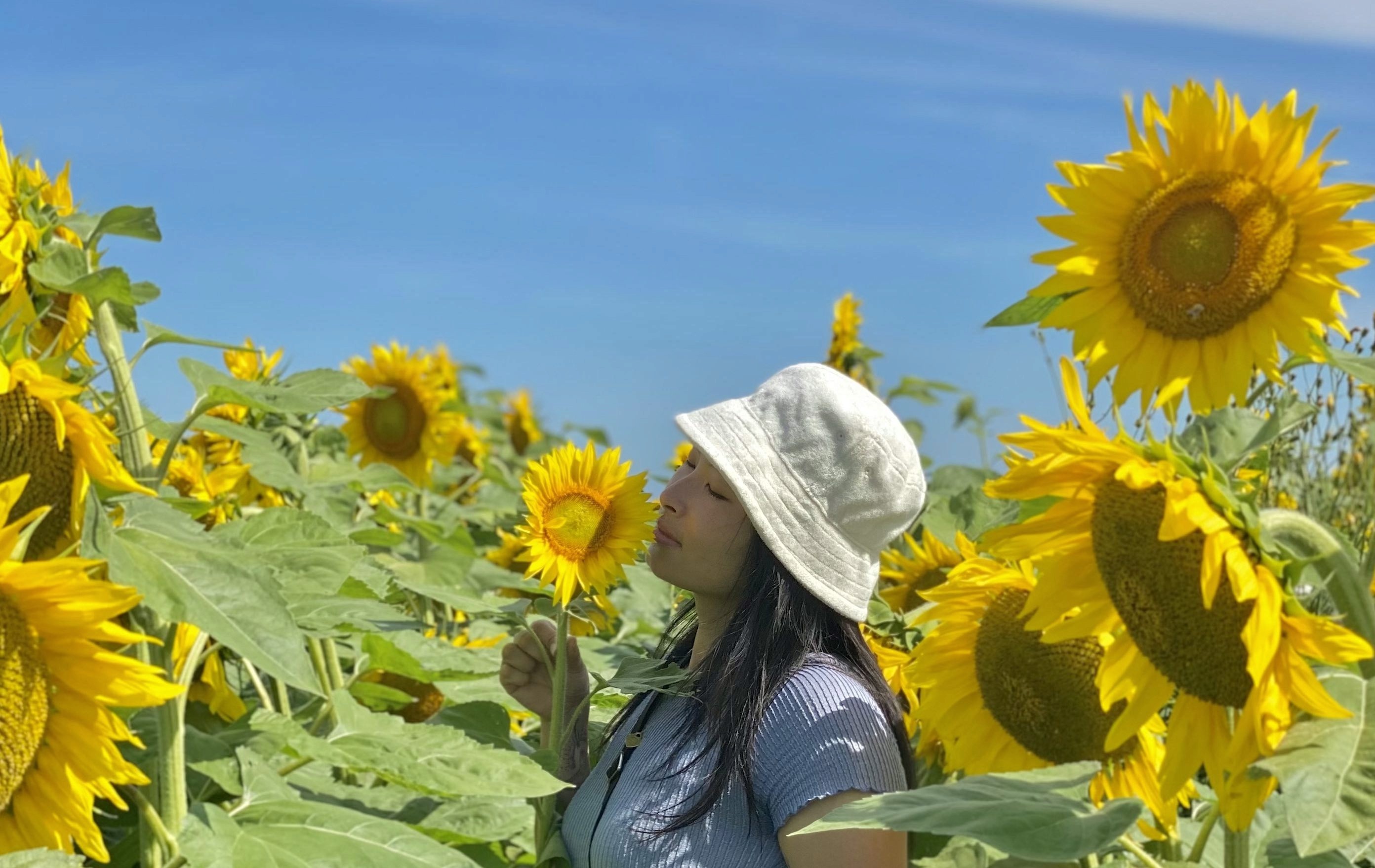 Portrait of me in a field of sunflowers