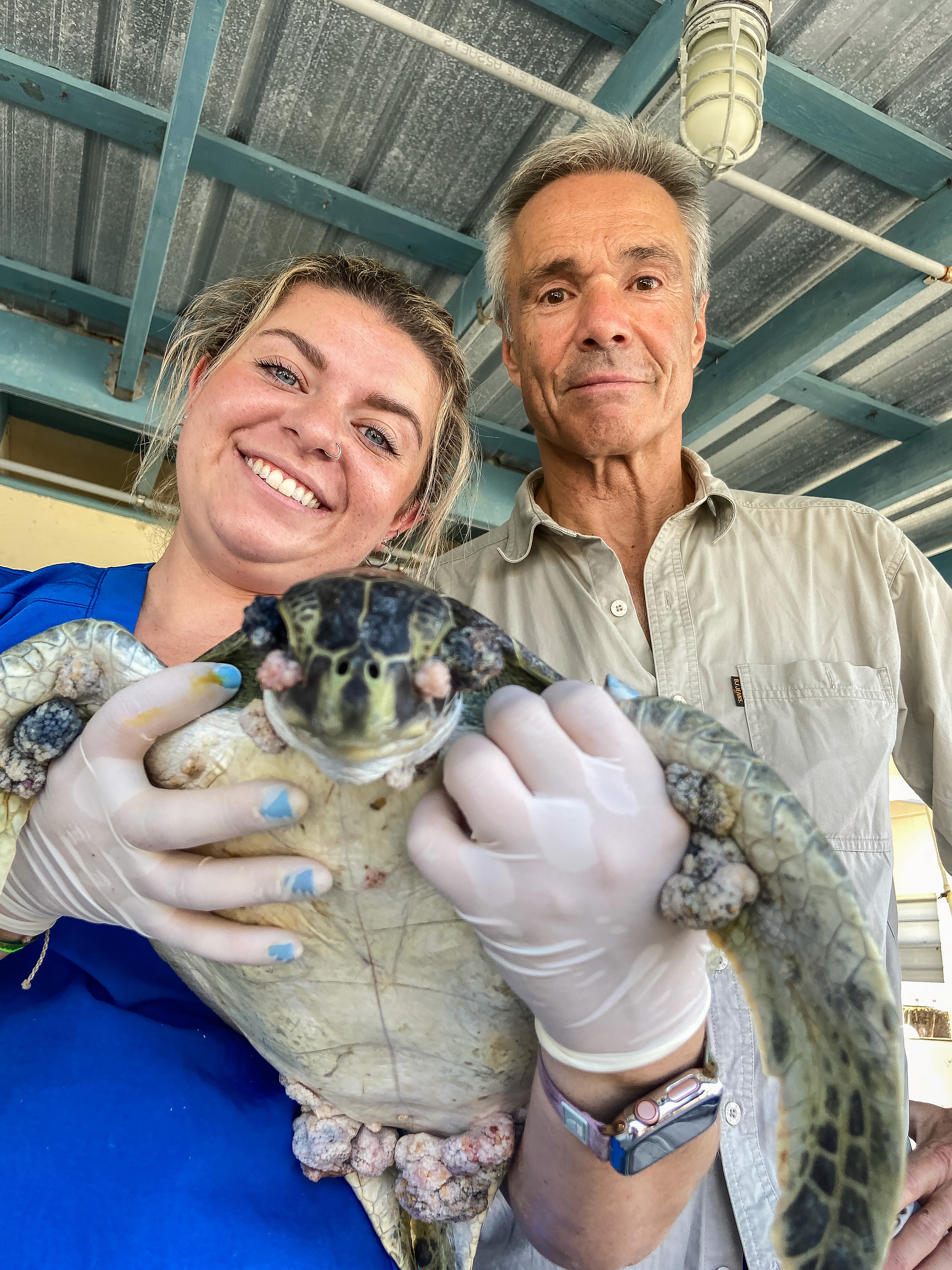 Tierärztin und Mann halten kranke Meeresschildkröte in einem Schutzgebiet.