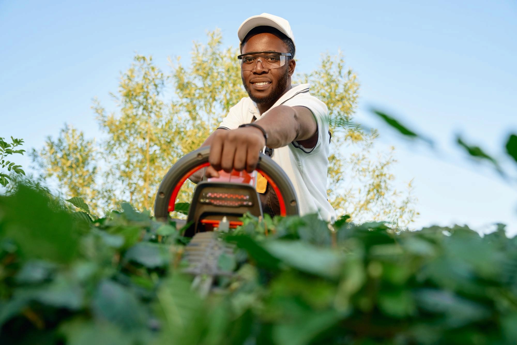 man monitoring crop