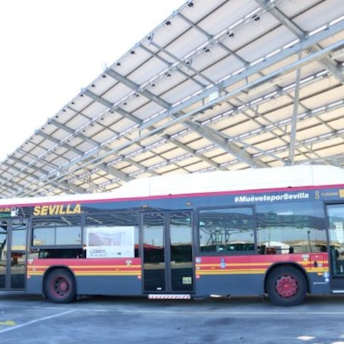 塞维利亚Tussam公共汽车